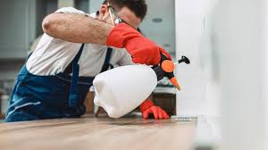 Professional Pest Control in Middleport, OH